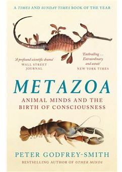 METAZOA : ANIMAL MINDS AND THE BIRTH OF CONSCIOUSNESS