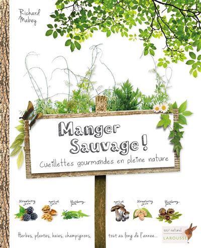 MANGER SAUVAGE ! CUEILLETTES GOURMANDES EN PLEINE NATURE