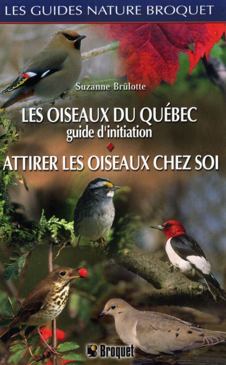 LES OISEAUX