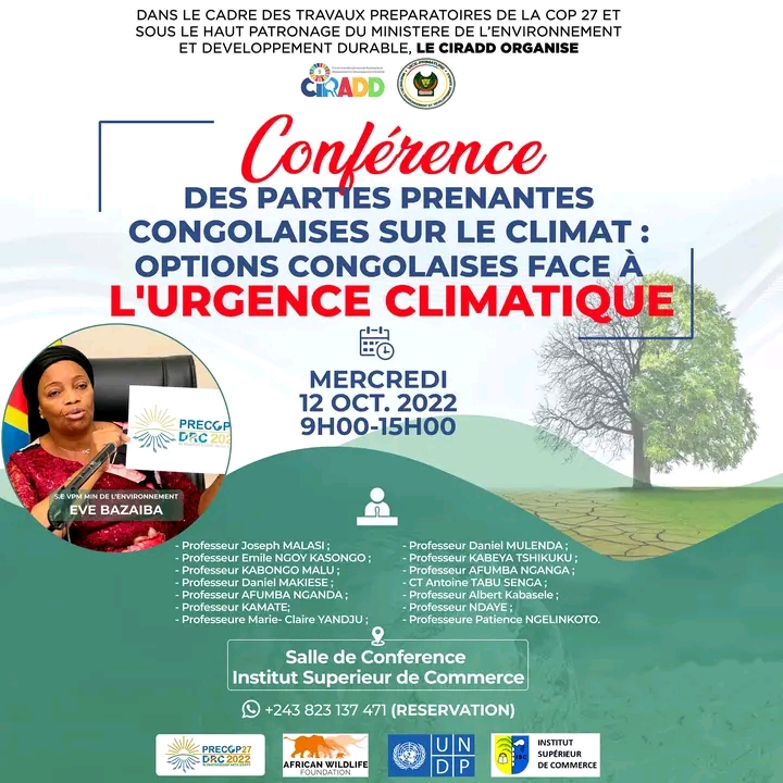 La fabrique du continu : essai sur la prose